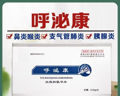 猫咪消炎药口服使用指南（宠物健康必备）