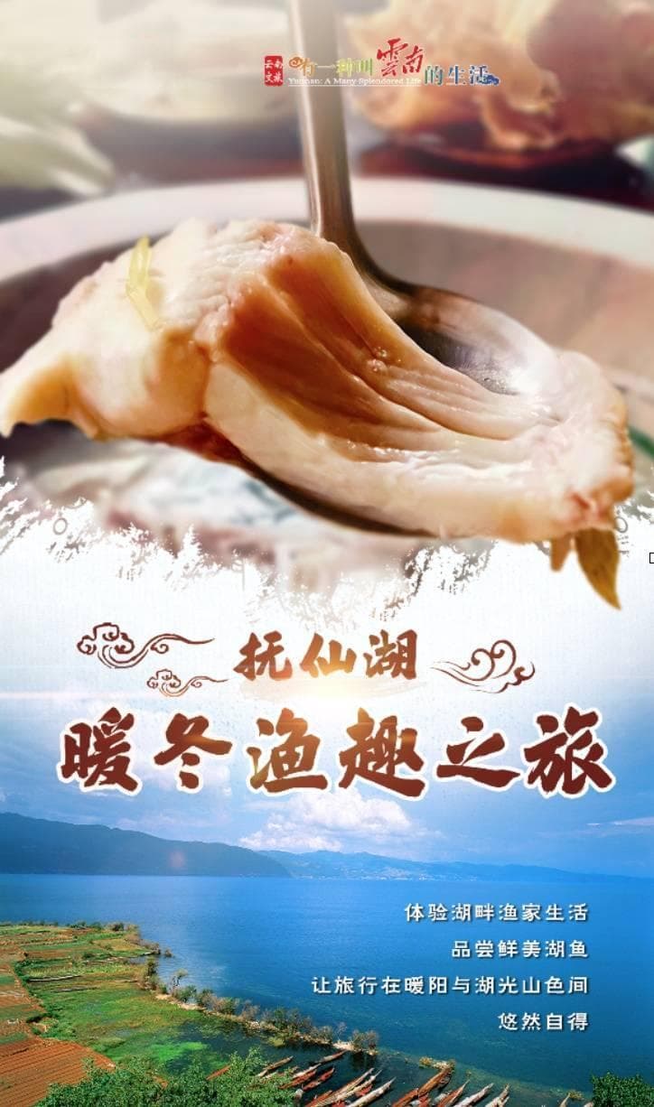 冬暖花开游云南：打卡抚仙湖“暖冬”渔趣