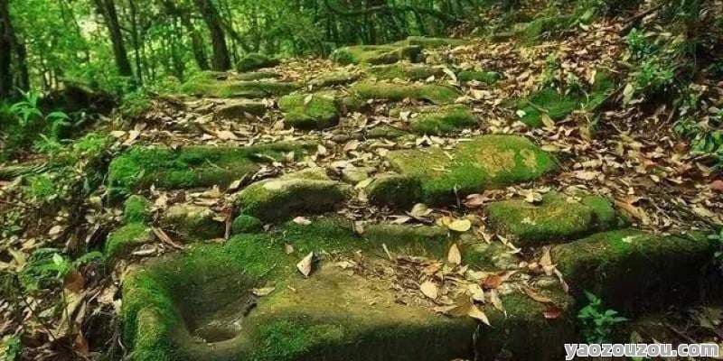 云南高黎贡山旅游攻略：自然与人文的完美融合