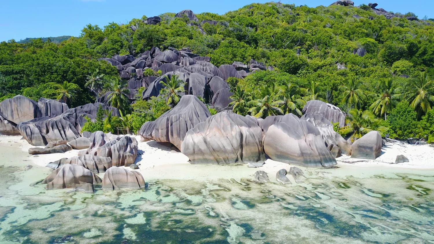 塞舌尔马埃谷地：珍稀海椰子与黑鹦鹉的最后避难所