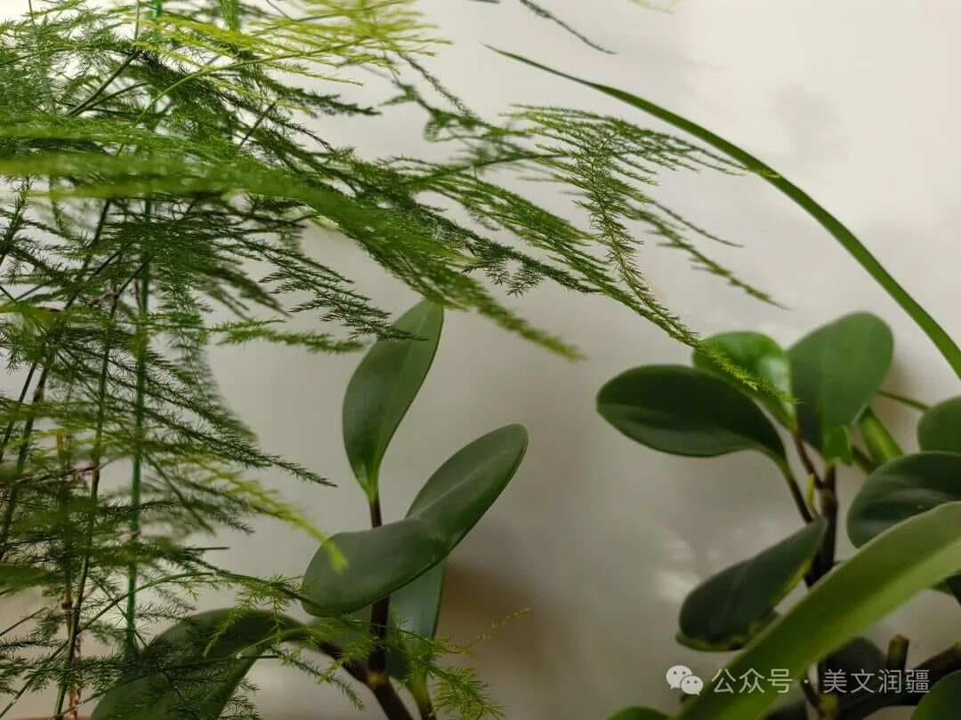 当代人如何更好地创作近体诗（值得收藏）