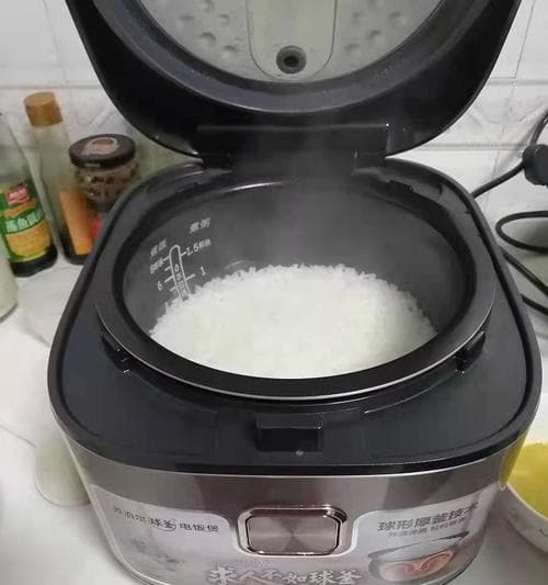 电饭煲煮饭米没熟的原因和解决方法（探究电饭煲煮饭不熟的问题及解决方案）