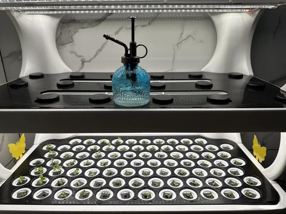 智能无土栽培：家庭室内植物工厂的未来种植模式