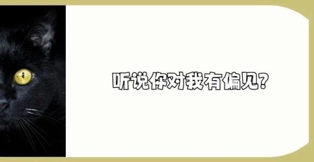 你对黑猫有偏见吗？