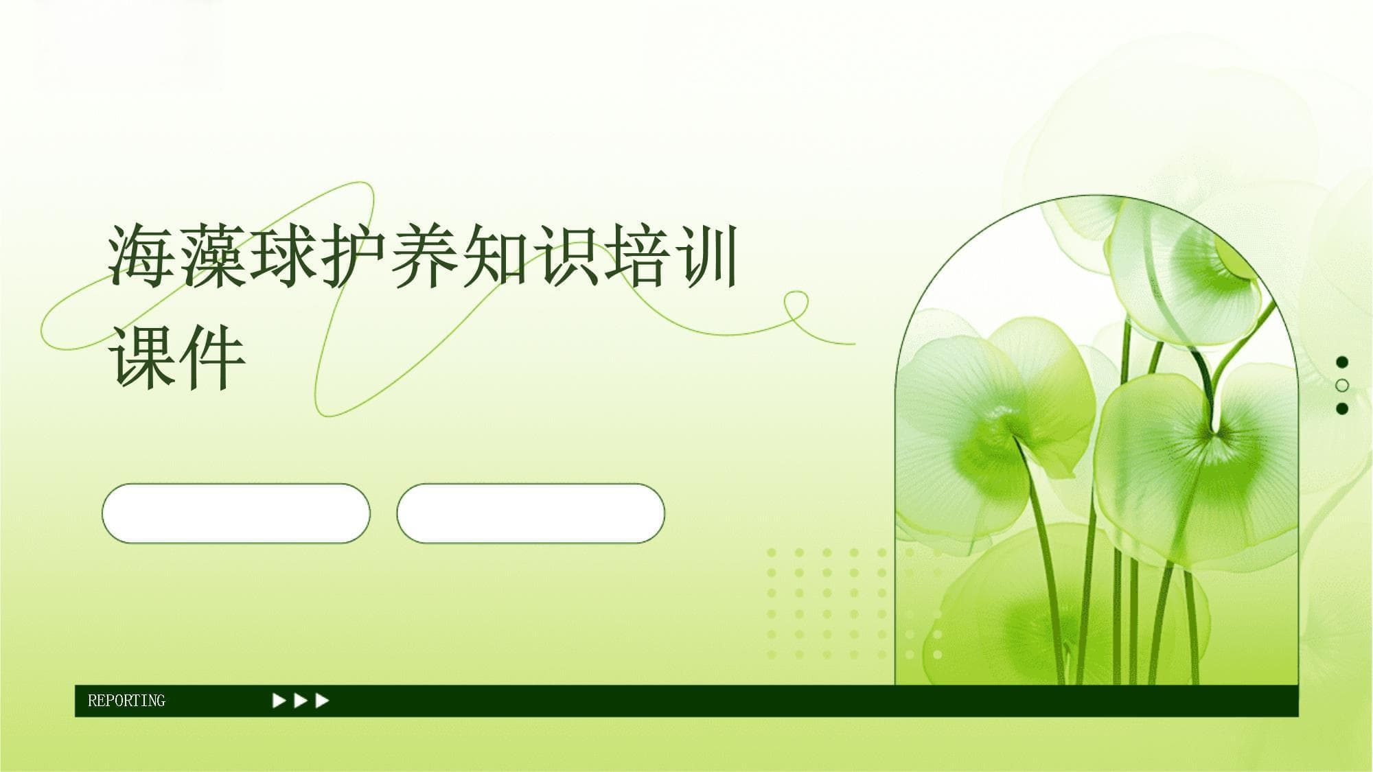 海藻球护养知识培训课件
