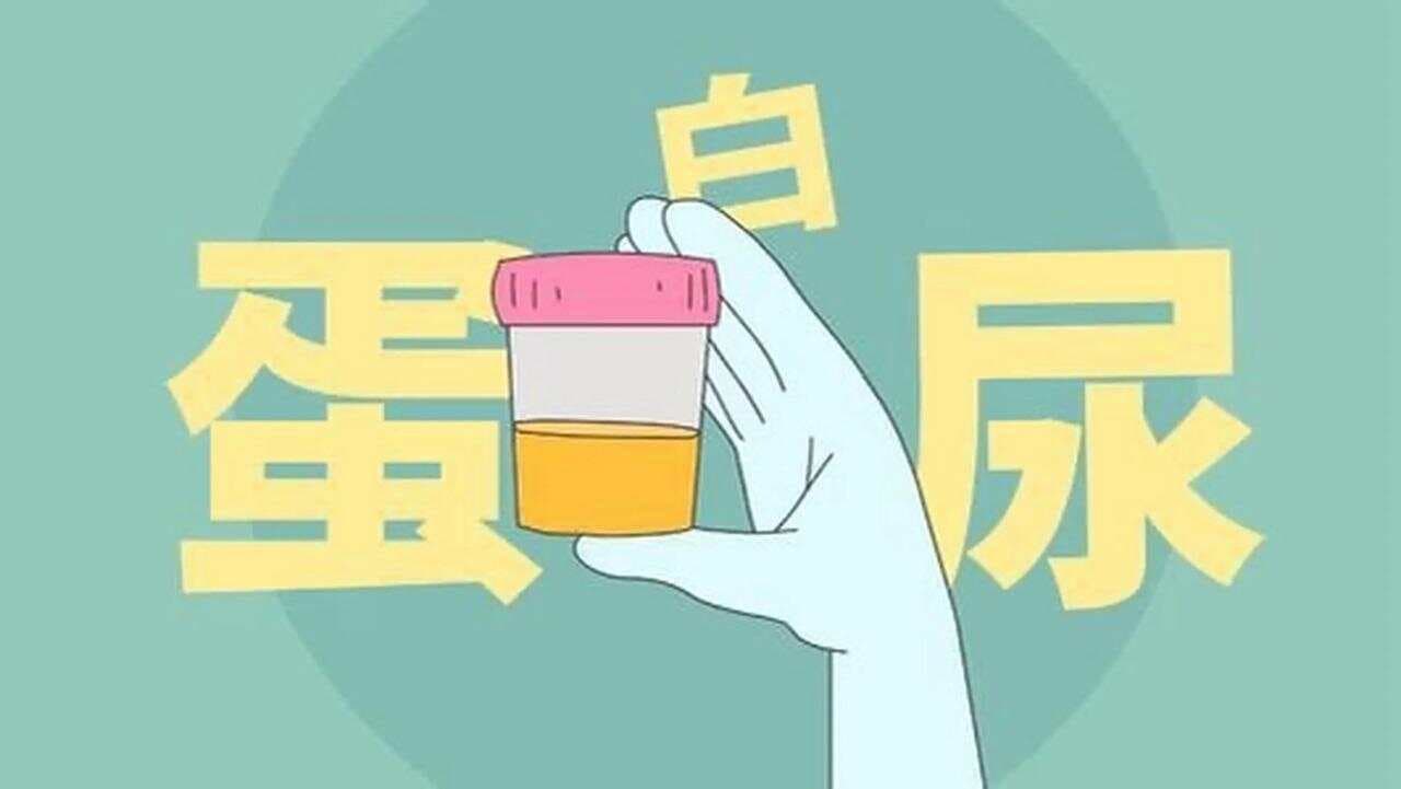 降低尿蛋白的4个常用药，一文总结