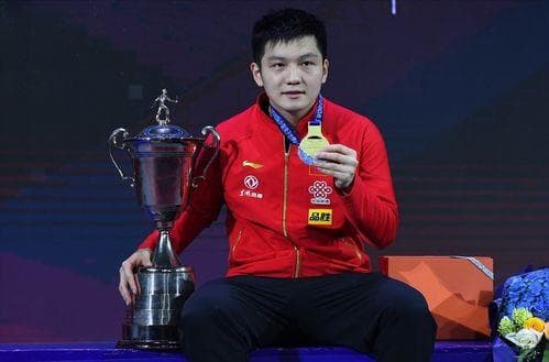训练技巧大揭秘：如何高效训练你的宠物鸟？