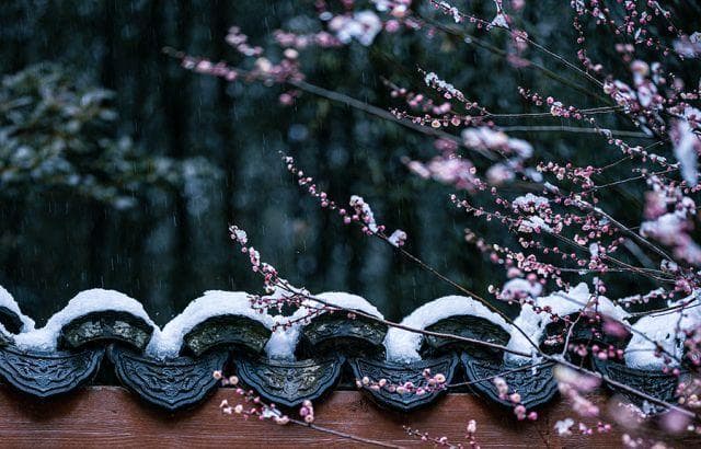 8首梅雪诗词，看冬日里最美的风景