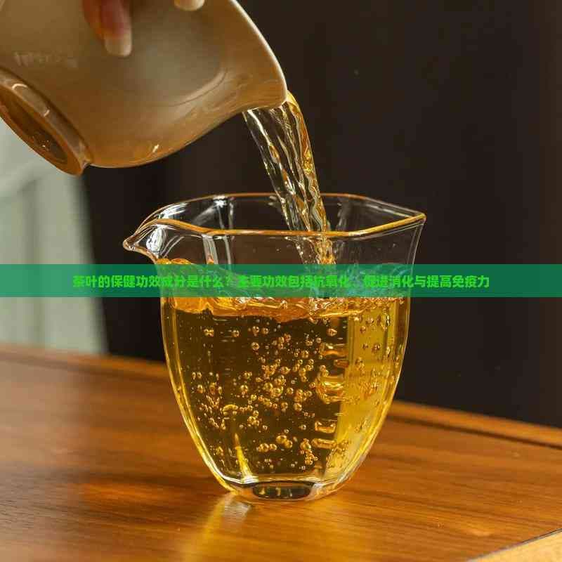茶叶的保健功效成分是什么？主要功效包括抗氧化、促进消化与提高免疫力