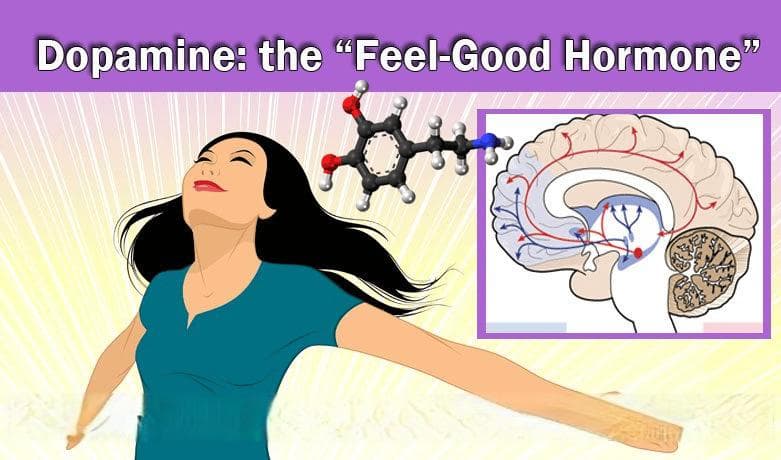 斯坦福神经学家：8个管理多巴胺的方法，提高动力和专注力