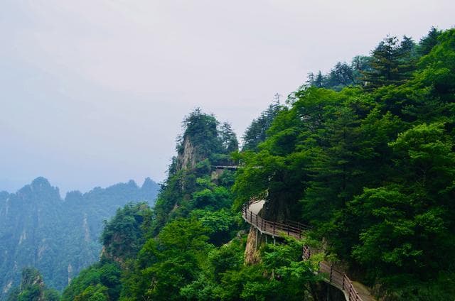 老君山攻略：探秘道教圣地之美