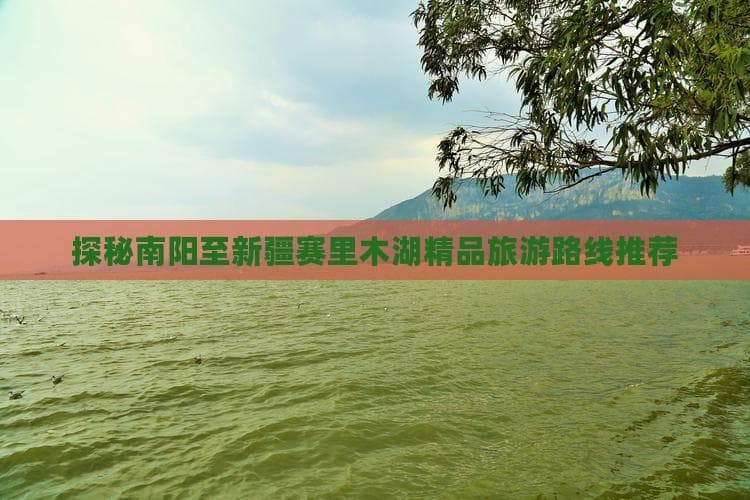 南阳至赛里木湖5天深度游：穿越中原与西域的文旅盛宴