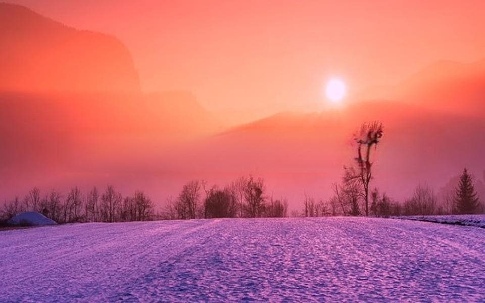中国各大明星八字命理分析—中国明星八字揭秘：命运轨迹大解析