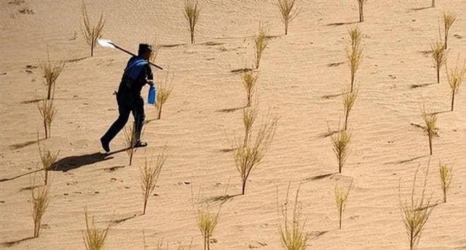 美国环保专家质疑沙漠种树，中国回应：实践证明利大于弊