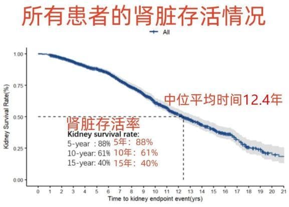 北大最新研究：IgA肾病中位肾衰竭12.4年，多数15年内进展为尿毒症？