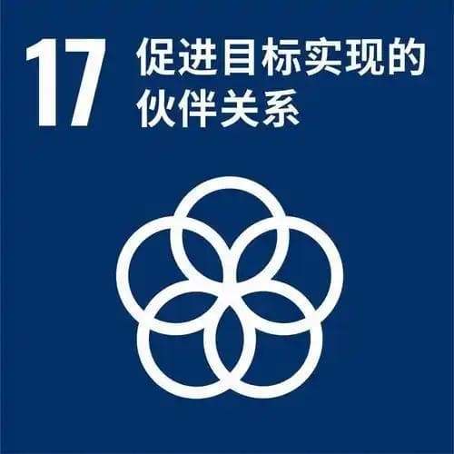联合国可持续发展目标（SDGs）目标之一：促进目标实现的伙伴关系