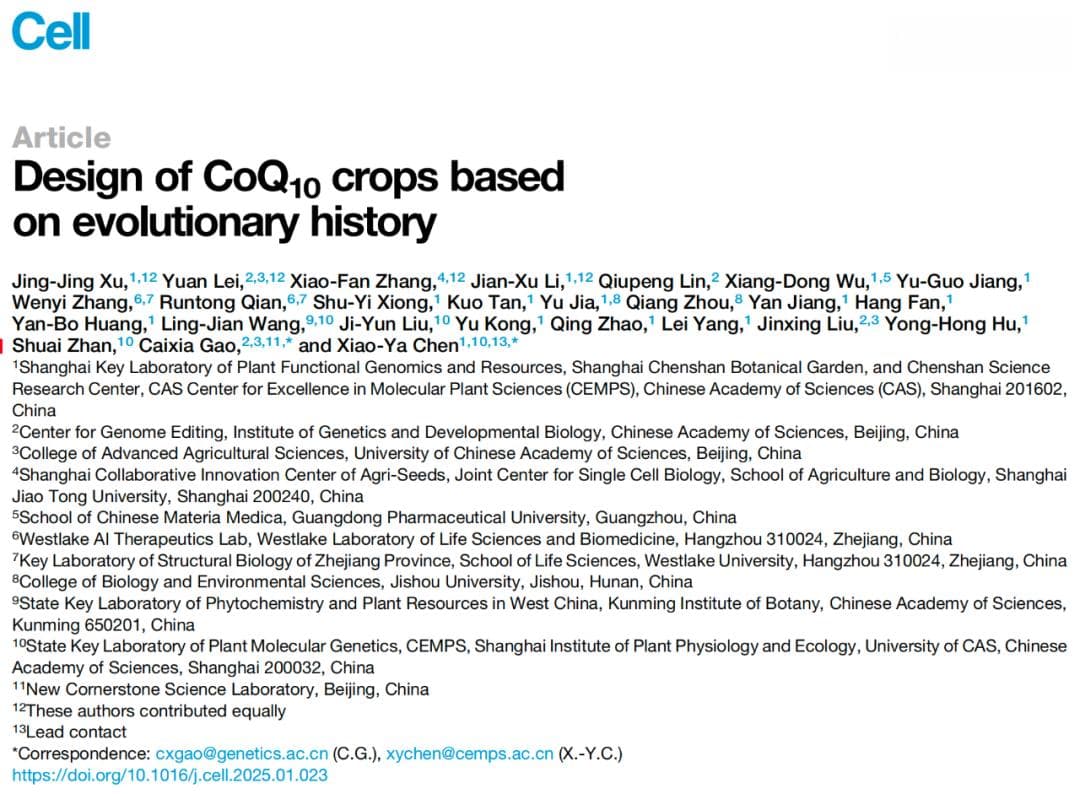 Cell：中国科学家成功设计出产辅酶Q10作物，为人类提供新的膳食营养来源
