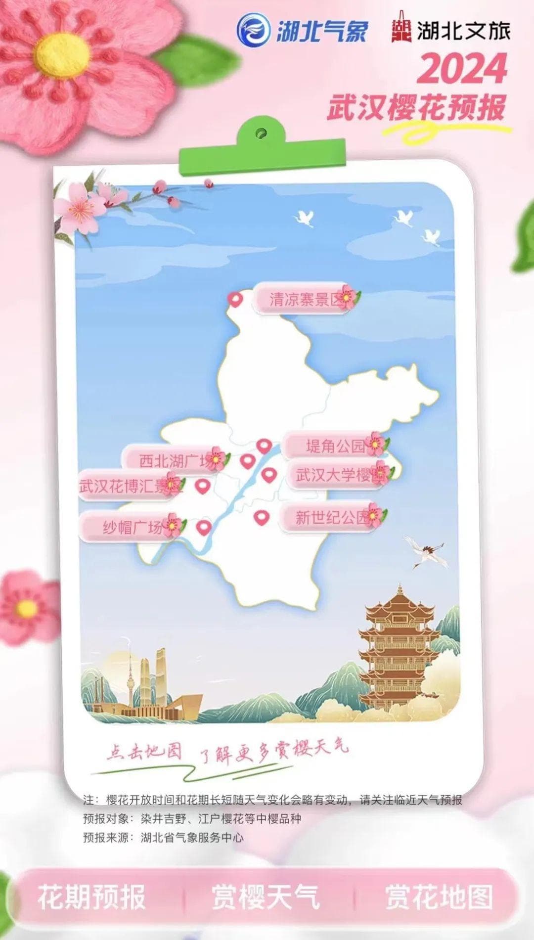 下周盛放！ 2024武汉樱花预报发布！