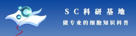 案例数据 | NK细胞可以治疗哪些癌症？