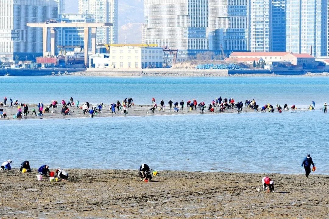 青岛西海岸赶海爆桶攻略：装备地点全解析，解锁隐藏彩蛋！