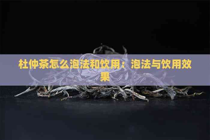 杜仲茶怎么泡：从泡制到饮用的完整指南