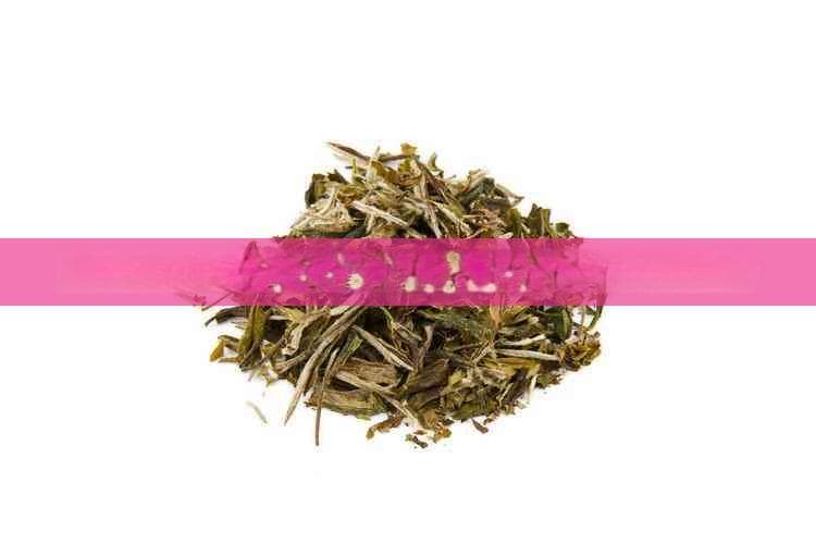 普洱茶与菊花同泡的益处与注意事项全解析