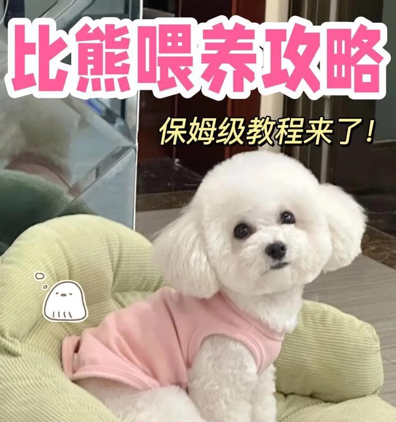 七个月大的比熊为什么掉毛多？（探究比熊掉毛现象，揭示七个月大比熊掉毛原因！）