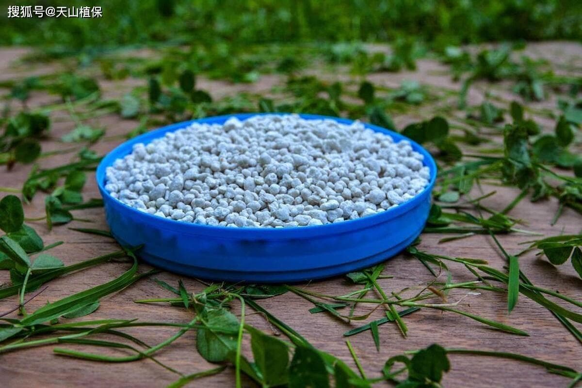 缓释肥的成分及作用解析