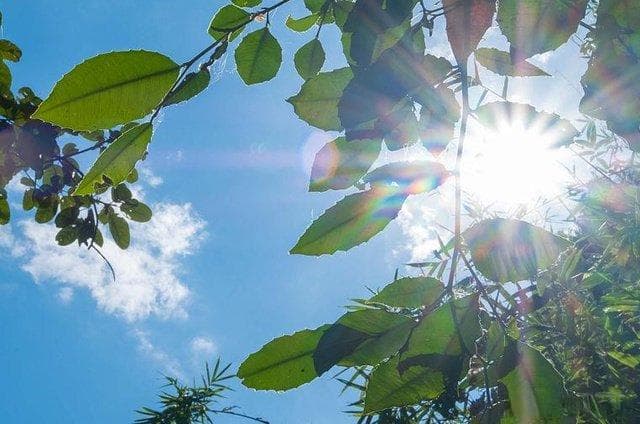2025年闰六月还是“双春年”，两者相逢好不好？有啥说法？