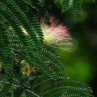 葫芦怎么晒干
