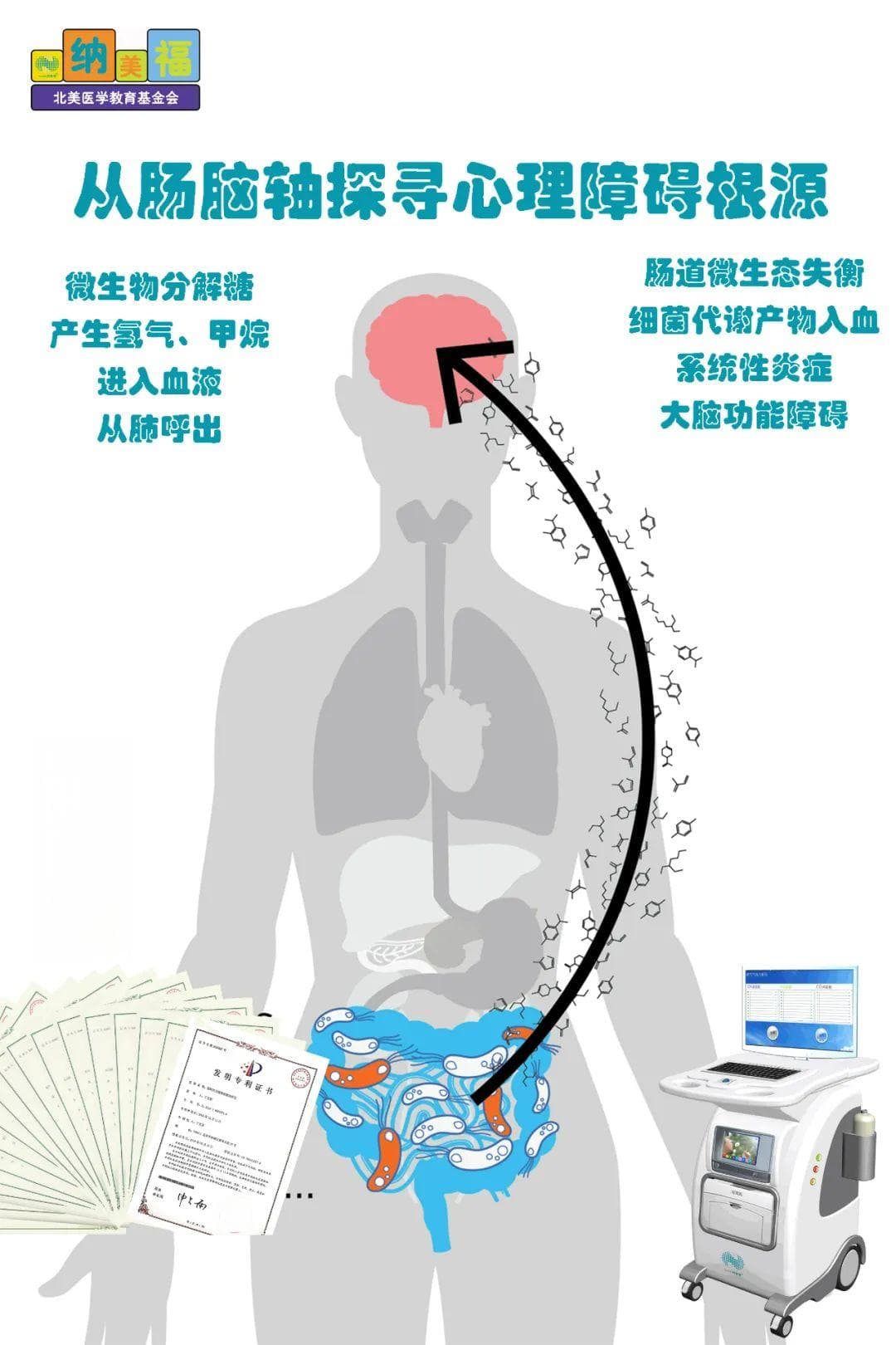 小肠细菌过度生长与心理健康