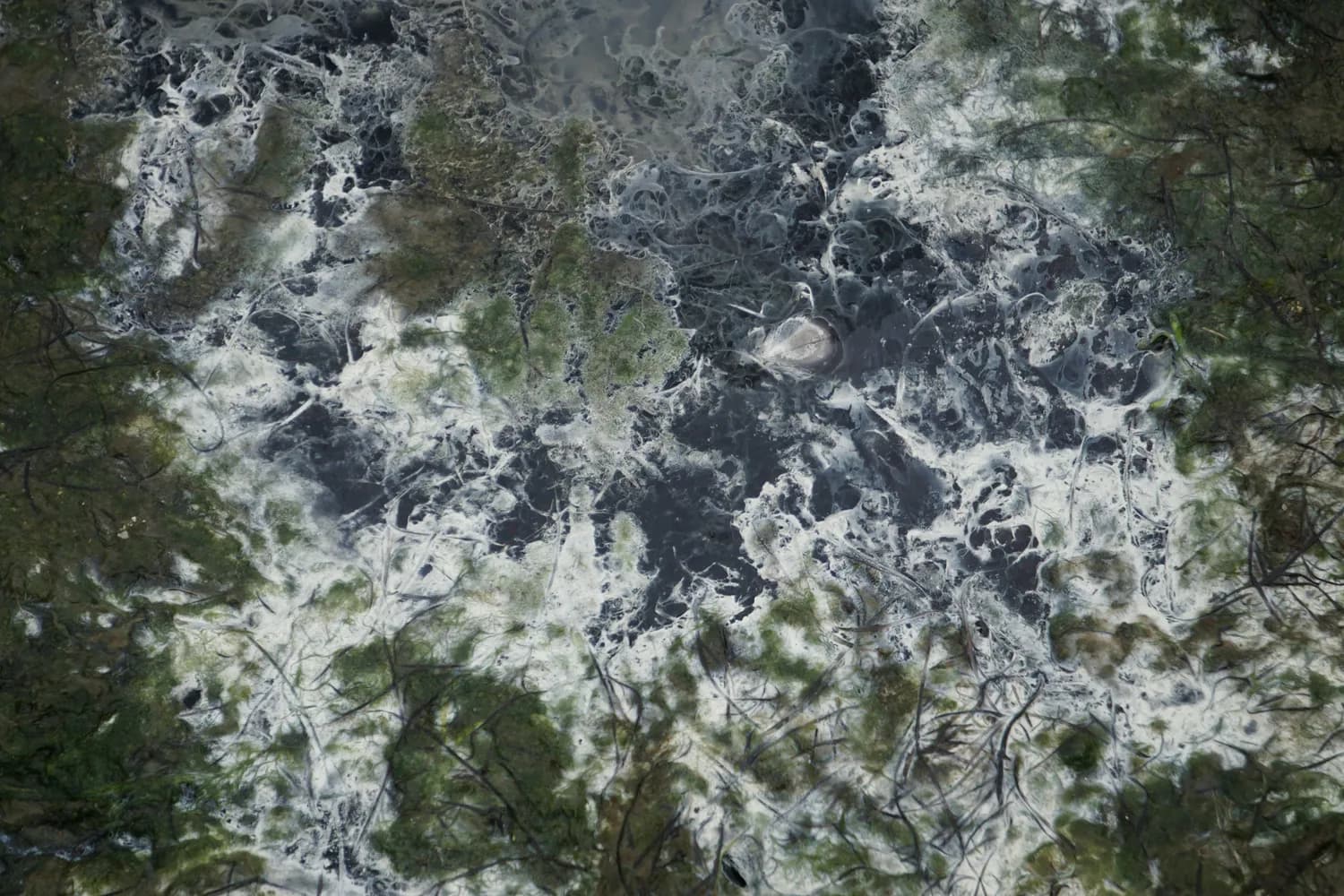 浙江地理全貌：七山一水间的江南胜景