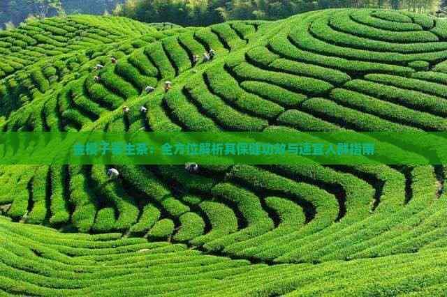 金樱子寄生茶：全方位解析其保健功效与适宜人群指南