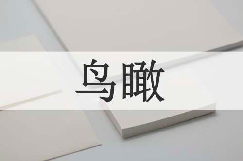 鸟瞰的读音 鸟瞰的意思