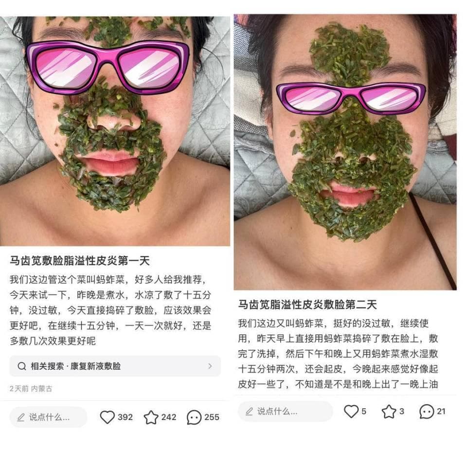 餐桌上常见的马齿苋，也能用来敷脸消炎？专家：对皮炎湿疹有效，但需注意浓度和时间