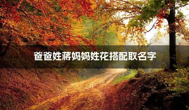 爸爸姓蒋妈妈姓花，如何结合两个姓氏取女宝名字