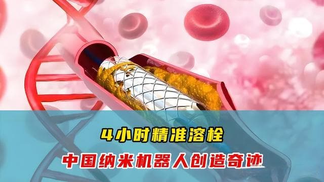 武汉理工研制可注射溶栓纳米机器人，精准治疗心脑血管疾病
