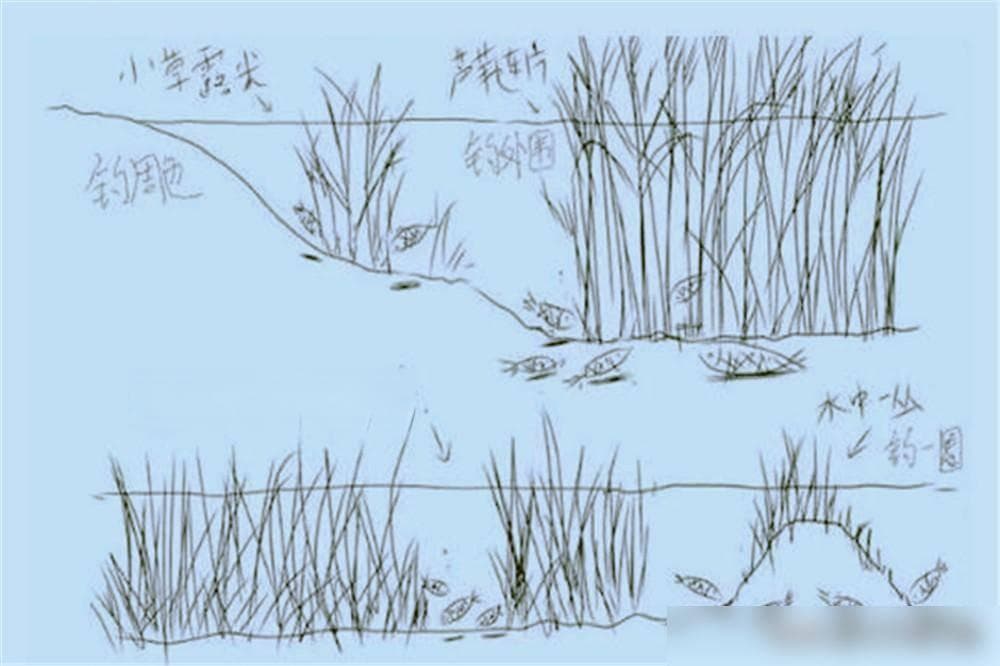 冬钓鲫鱼，选水草钓点时，我只选择这2种，十多年都没走空过