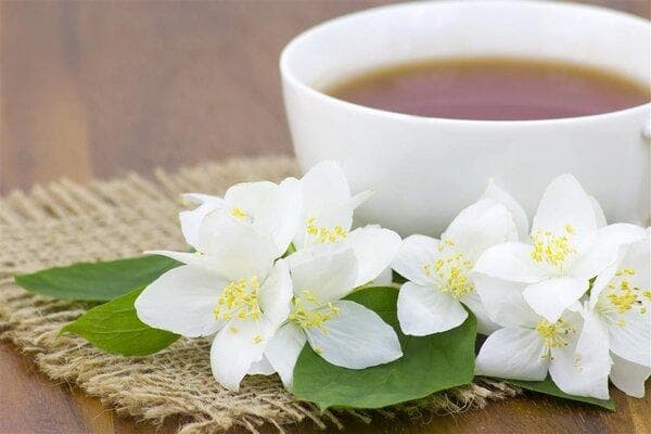 茉莉花茶降血糖吗