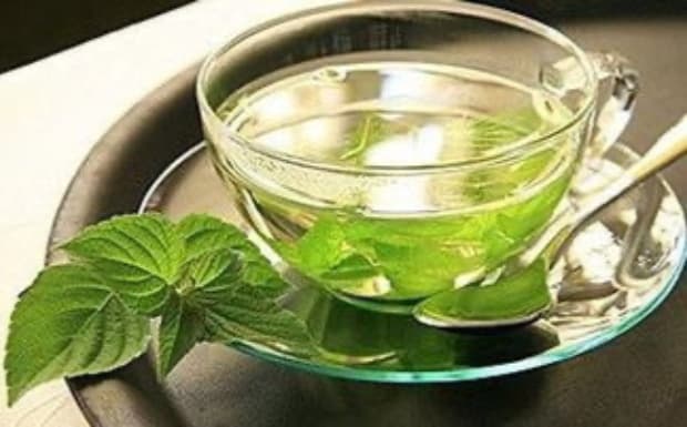 什么是薄荷茶
