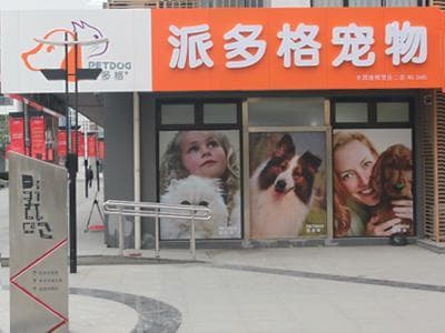 宠物活体销售需要办什么证（宠物销售许可证申请流程详解）