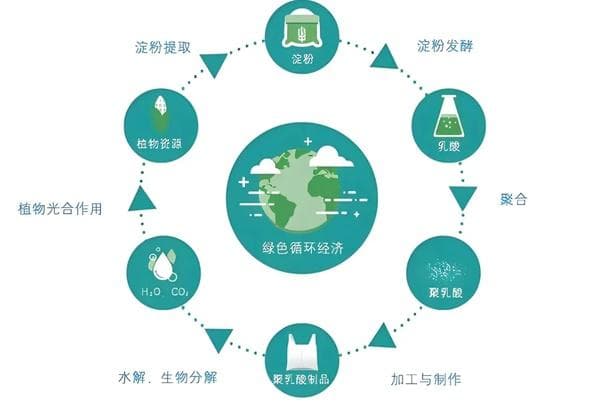聚乳酸——医用可降解材料的绿色革命