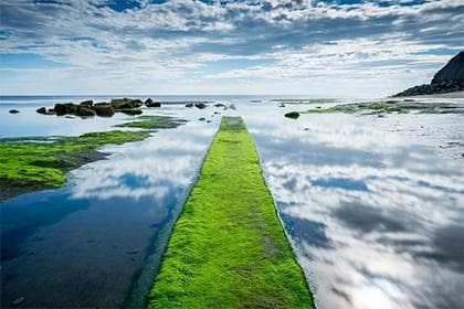 月柱白虎煞详解：含义、影响及化解方法