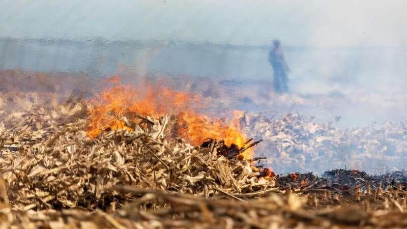 秸秆焚烧“禁改限”，背后啥原因？