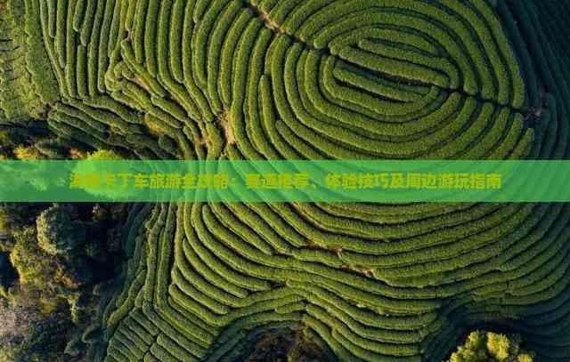 海南卡丁车旅游全攻略：赛道推荐、体验技巧及周边游玩指南