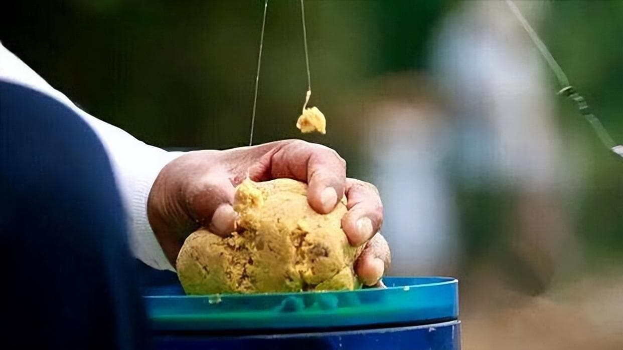 多长的子线最适合钓鱼？这些数据告诉你