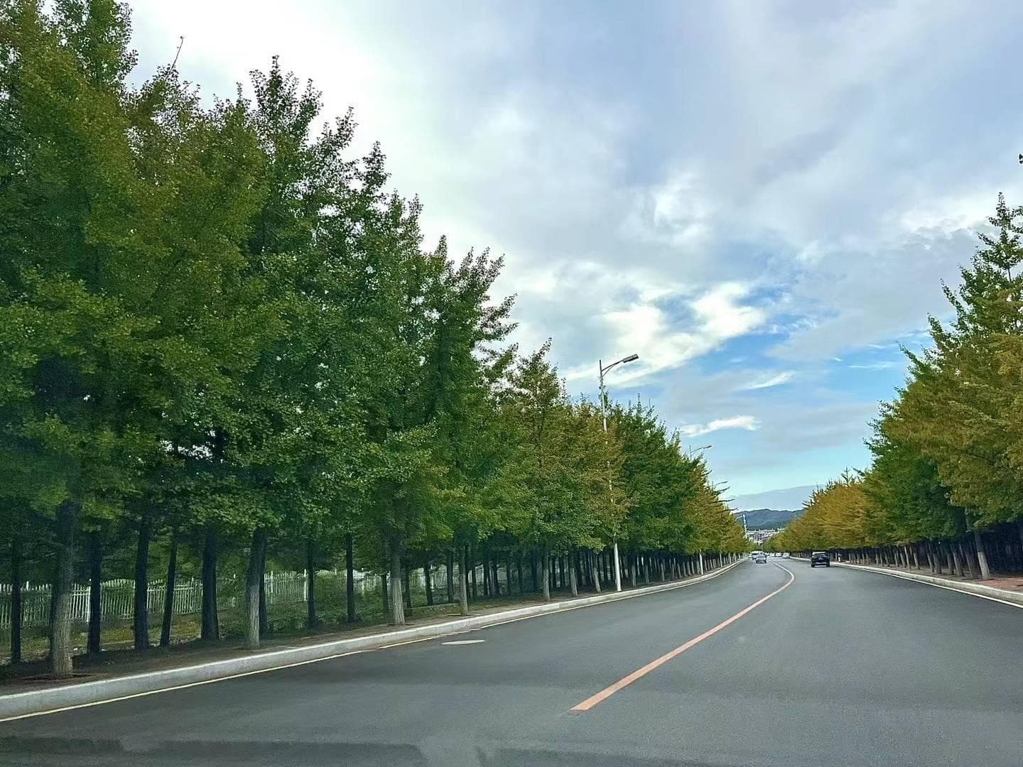 绿灯亮正常通行，为啥被判闯红灯？交警：优先权很重要，下次记住，你认可吗？