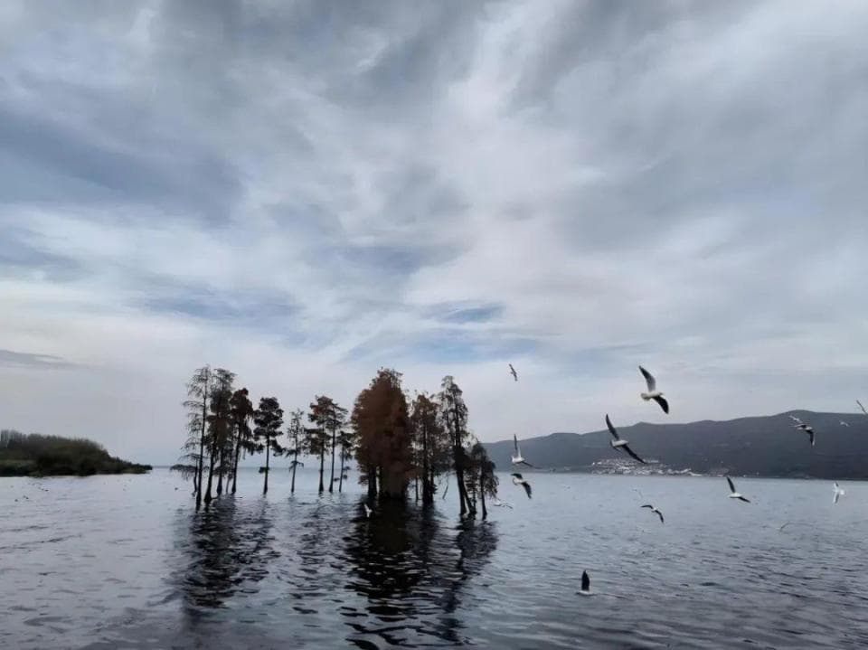 冬日洱海：生态恢复现美景，昼夜更替展静谧