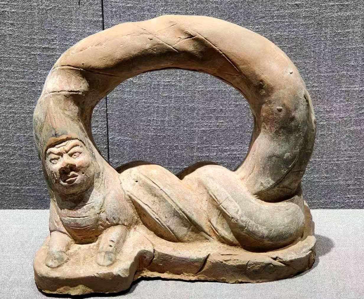 到博物馆来一场“寻蛇记”