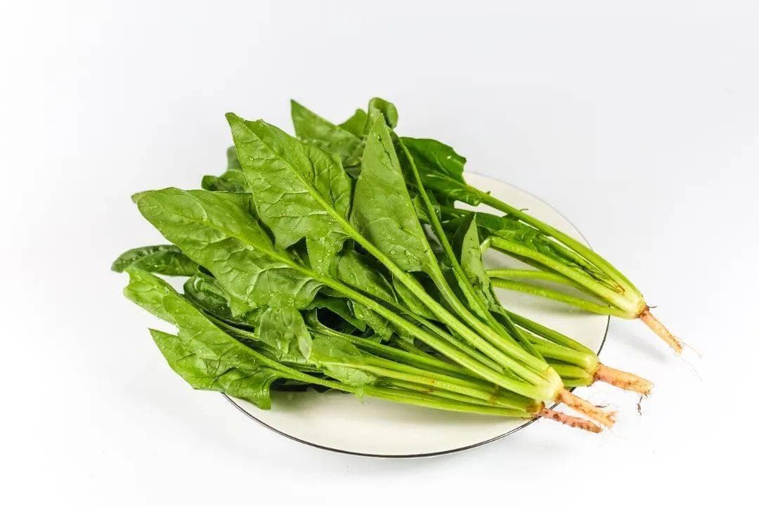 想对眼睛好，医生建议多吃这10种食物